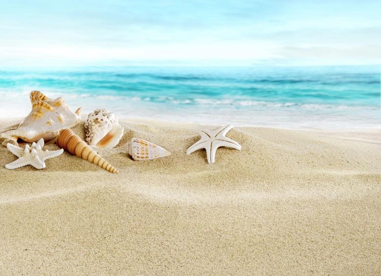 SUMMER CLOSER